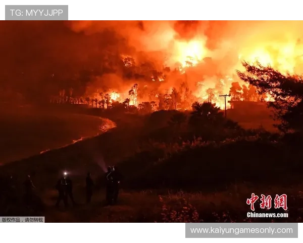 开云体育买波胆步骤避坑指南数字高频玩法防骗
