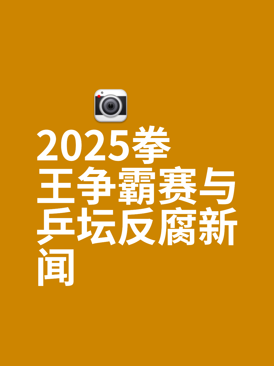 拳击擂台上的激烈较量，拳头如风快狠准的简单介绍